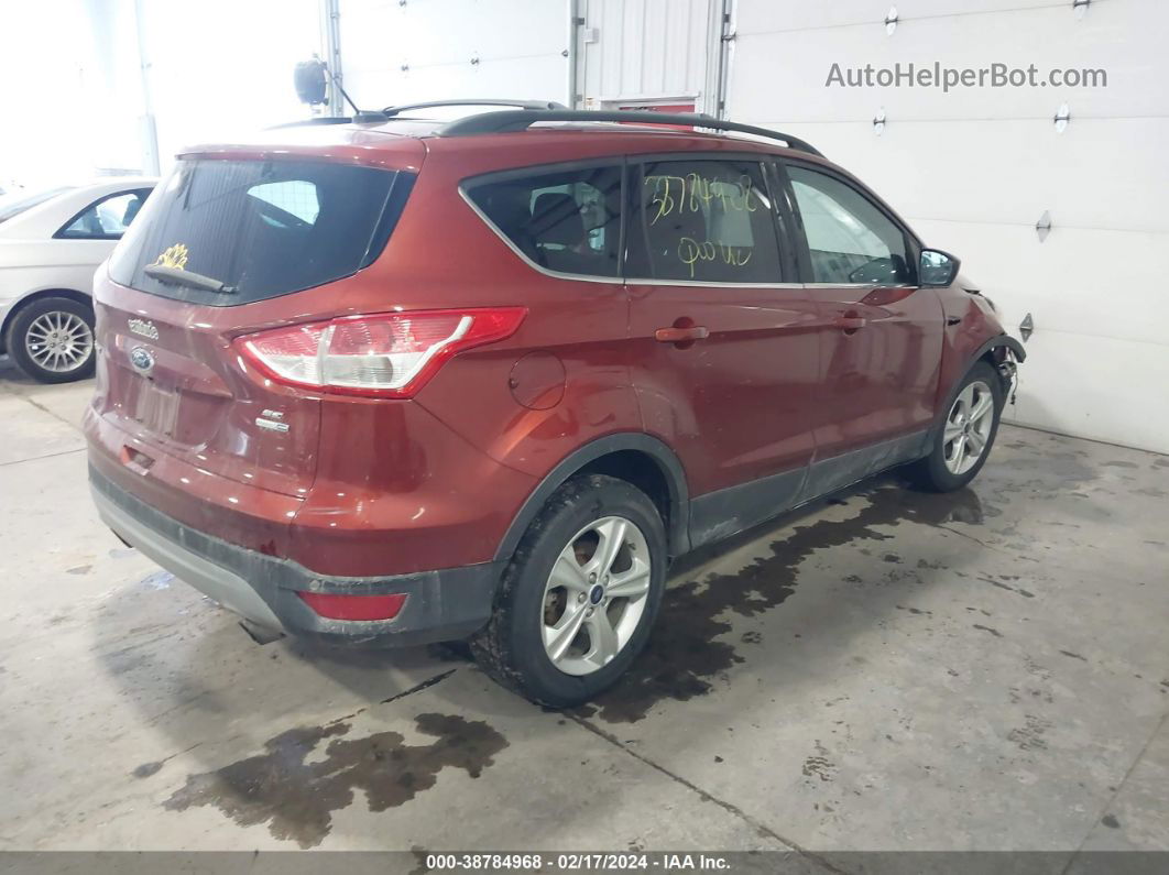 2014 Ford Escape Se Orange vin: 1FMCU9GX1EUB08700