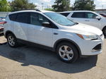 2015 Ford Escape Se White vin: 1FMCU9GX1FUA18335