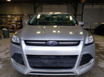 2015 Ford Escape Se Silver vin: 1FMCU9GX1FUC62499