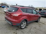 2016 Ford Escape Se Burgundy vin: 1FMCU9GX1GUA25206