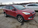 2016 Ford Escape Se Burgundy vin: 1FMCU9GX1GUA25206