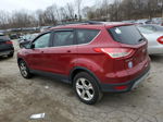 2016 Ford Escape Se Burgundy vin: 1FMCU9GX1GUA25206