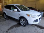 2013 Ford Escape Se Белый vin: 1FMCU9GX2DUB28260