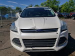 2014 Ford Escape Se Белый vin: 1FMCU9GX2EUD84433