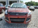 2014 Ford Escape Se Бордовый vin: 1FMCU9GX2EUE43321