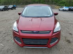 2014 Ford Escape Se Red vin: 1FMCU9GX2EUE45652