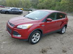 2014 Ford Escape Se Red vin: 1FMCU9GX2EUE45652