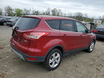 2014 Ford Escape Se Red vin: 1FMCU9GX2EUE45652