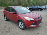 2014 Ford Escape Se Red vin: 1FMCU9GX2EUE45652