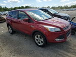 2016 Ford Escape Se Красный vin: 1FMCU9GX2GUA50731