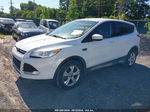 2013 Ford Escape Se White vin: 1FMCU9GX3DUD56719