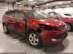 2014 Ford Escape Se Burgundy vin: 1FMCU9GX3EUA36012