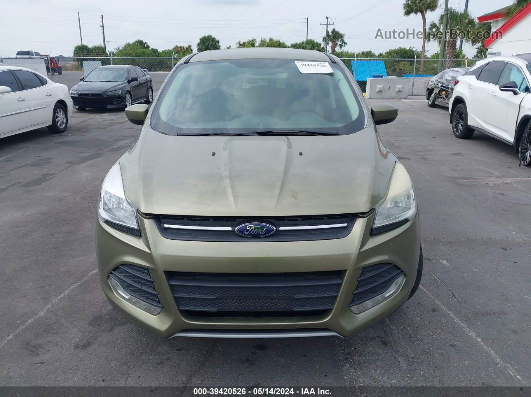 2014 Ford Escape Se Зеленый vin: 1FMCU9GX3EUB37650