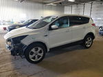 2016 Ford Escape Se White vin: 1FMCU9GX3GUB33603