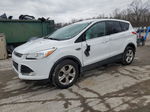 2016 Ford Escape Se Белый vin: 1FMCU9GX3GUC37377