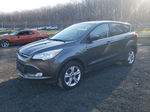 2016 Ford Escape Se Gray vin: 1FMCU9GX3GUC74476