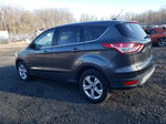 2016 Ford Escape Se Gray vin: 1FMCU9GX3GUC74476