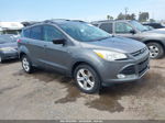 2013 Ford Escape Se Gray vin: 1FMCU9GX4DUB74284