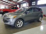 2013 Ford Escape Se Gray vin: 1FMCU9GX4DUB75841