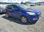 2013 Ford Escape Se Blue vin: 1FMCU9GX4DUD00322