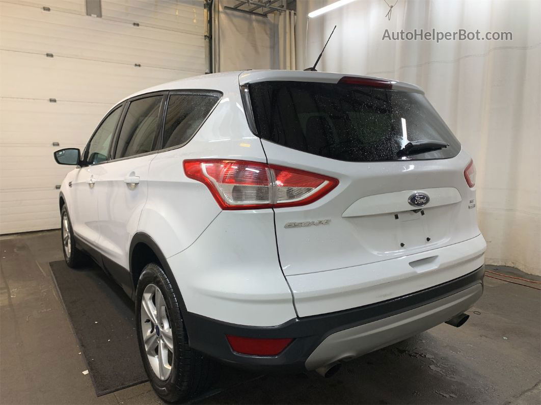 2014 Ford Escape Se White vin: 1FMCU9GX4EUC38681