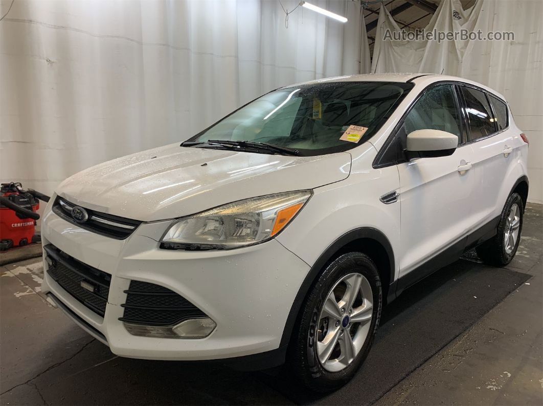 2014 Ford Escape Se Белый vin: 1FMCU9GX4EUC38681