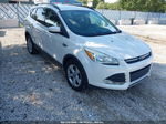 2014 Ford Escape Se White vin: 1FMCU9GX4EUD30017