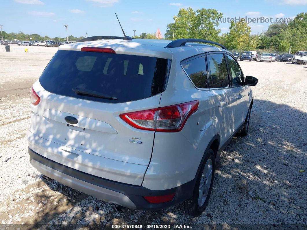 2014 Ford Escape Se White vin: 1FMCU9GX4EUD30017