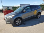 2014 Ford Escape Se Gray vin: 1FMCU9GX4EUD73501