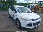 2015 Ford Escape Se Белый vin: 1FMCU9GX4FUC44501