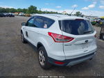 2015 Ford Escape Se Белый vin: 1FMCU9GX4FUC44501