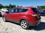 2016 Ford Escape Se Red vin: 1FMCU9GX4GUA17312