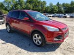 2016 Ford Escape Se Red vin: 1FMCU9GX4GUA17312