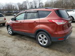 2016 Ford Escape Se Бордовый vin: 1FMCU9GX4GUB50393