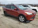 2016 Ford Escape Se Бордовый vin: 1FMCU9GX4GUB50393