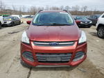 2016 Ford Escape Se Бордовый vin: 1FMCU9GX4GUB50393