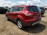 2016 Ford Escape Se Maroon vin: 1FMCU9GX4GUC55984