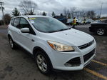 2013 Ford Escape Se vin: 1FMCU9GX5DUD92895