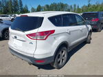 2014 Ford Escape Se White vin: 1FMCU9GX5EUB65871