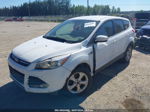 2014 Ford Escape Se White vin: 1FMCU9GX5EUB65871