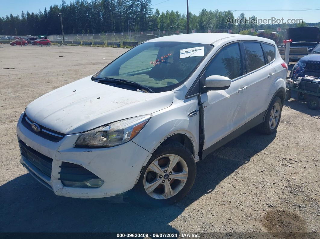 2014 Ford Escape Se White vin: 1FMCU9GX5EUB65871