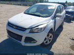 2014 Ford Escape Se Белый vin: 1FMCU9GX5EUB65871