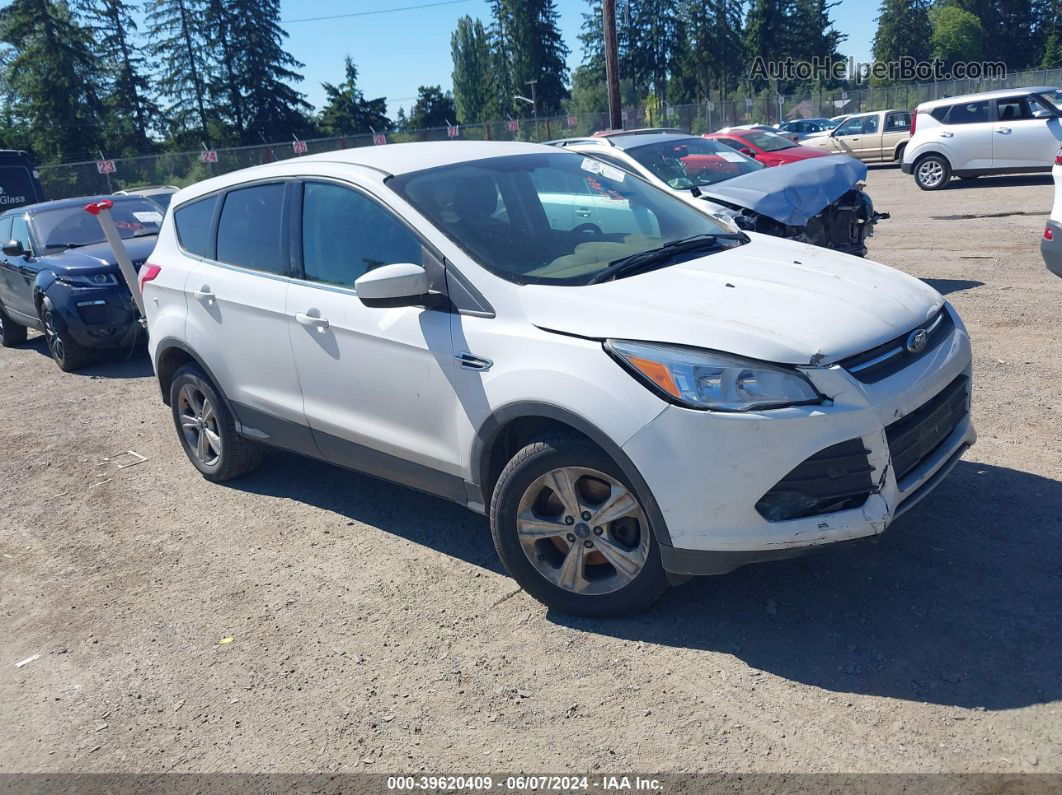 2014 Ford Escape Se White vin: 1FMCU9GX5EUB65871