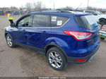 2014 Ford Escape Se Синий vin: 1FMCU9GX5EUC21727