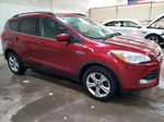 2014 Ford Escape Se Красный vin: 1FMCU9GX5EUD19317