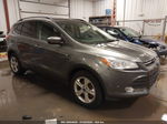 2014 Ford Escape Se Gray vin: 1FMCU9GX5EUD51118