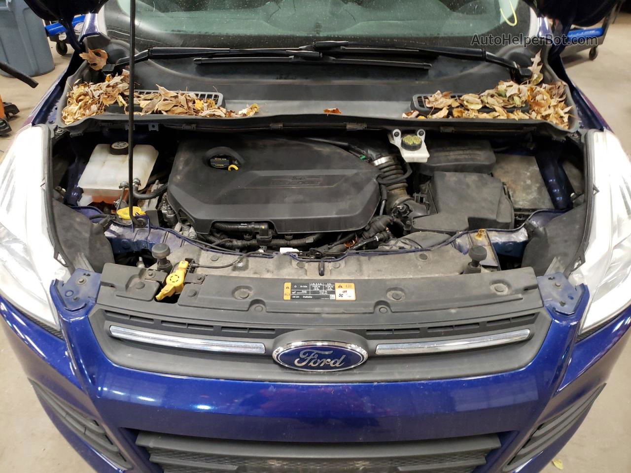 2014 Ford Escape Se Blue vin: 1FMCU9GX5EUE12869