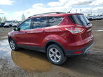 2014 Ford Escape Se Red vin: 1FMCU9GX5EUE29977