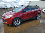 2014 Ford Escape Se Красный vin: 1FMCU9GX5EUE29977