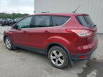 2014 Ford Escape Se Красный vin: 1FMCU9GX5EUE32524